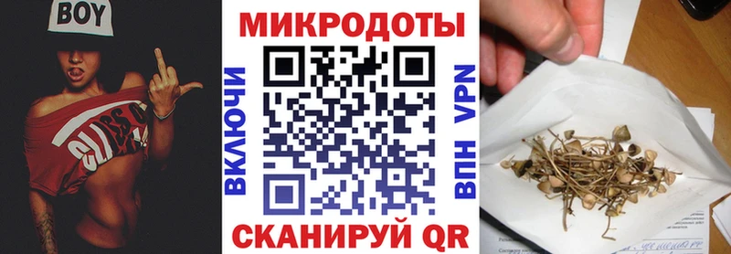 где купить   Брянск  Галлюциногенные грибы MAGIC MUSHROOMS 