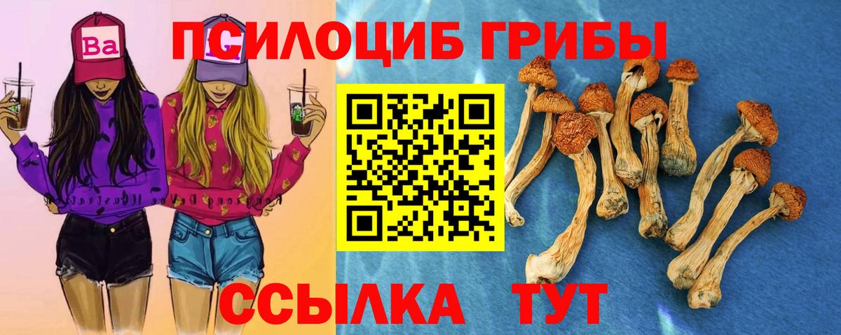 где продают   Брянск  Галлюциногенные грибы ЛСД 