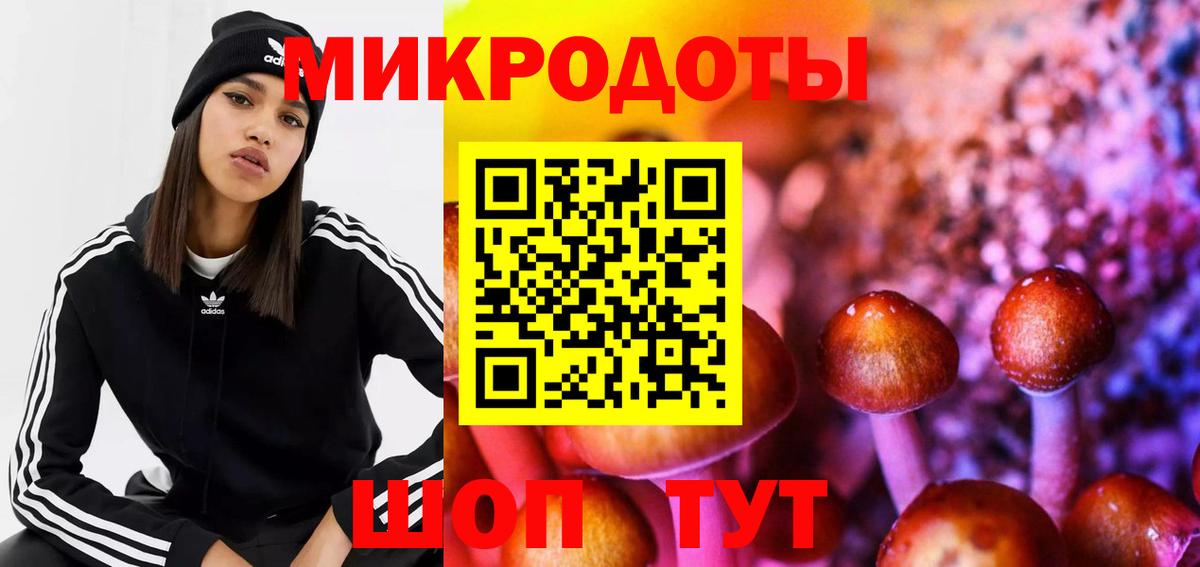 Галлюциногенные грибы Psilocybine cubensis Брянск