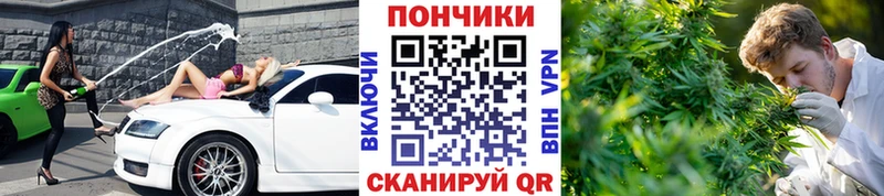 Бошки марихуана конопля  Брянск 